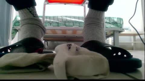 ssenzo online show from 12-10-24, 09:54