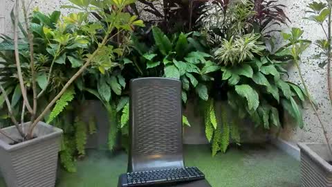 Snapshot of staar_hot chatting on 02-01-26, 12:26 STAAR HOT online show from 02-01-26, 12:26