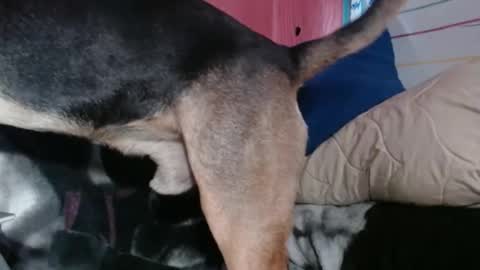 Sinserity online show from 04-02-26, 09:23