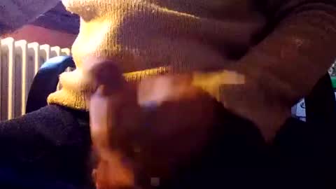 Snapshot of stalloneumbro chatting on 12-31-24, 01:08 CIPPALIPPA online show from 12-31-24, 01:08