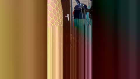 stambo0704987834 online show from 01-17-26, 01:16