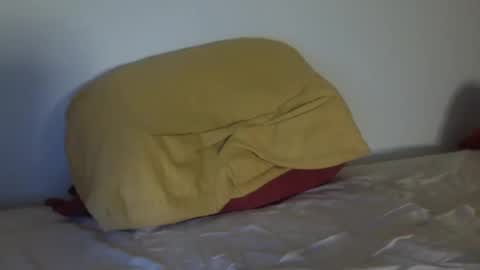 Snapshot of stan_hung chatting on 12-08-24, 06:50 stan_hung online show from 12-08-24, 06:50