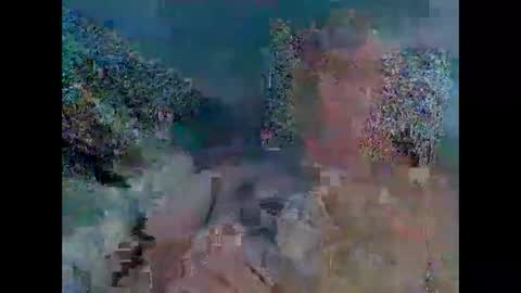 stanley1923308 online show from 11-30-25, 03:49