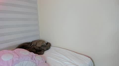 Snapshot of starlie_ chatting on 08-09-26, 03:23 Alisson online show from 08-09-26, 03:23