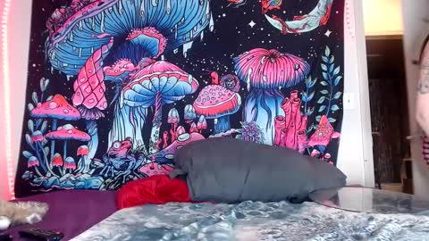 Star Vega online show from 12-12-24, 10:45