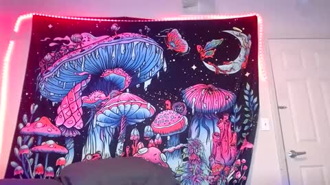 Star Vega online show from 12-21-24, 07:03