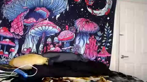 Star Vega online show from 01-04-25, 05:58