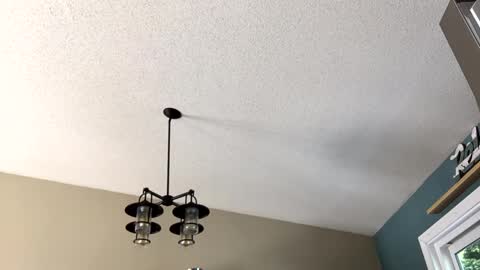 Steakman online show from 02-23-25, 06:01