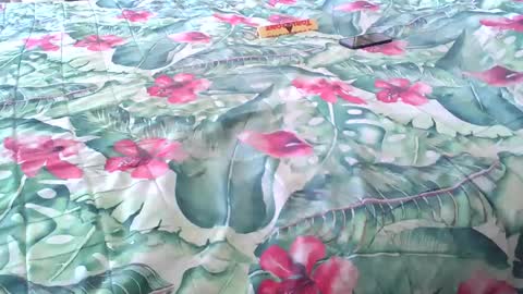 Rocco-load online show from 04-04-26, 02:14