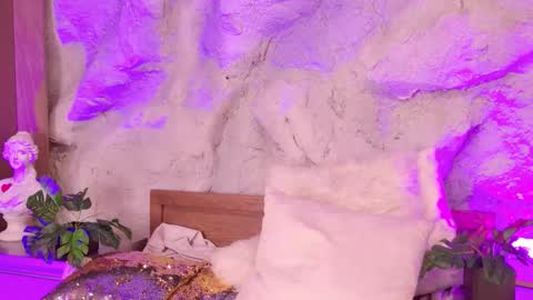 S T E L L A online show from 02-19-26, 11:23