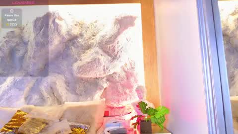Snapshot of stellaciel_ chatting on 04-22-26, 05:58 S T E L L A online show from 04-22-26, 05:58