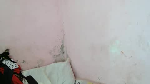 stellah2555 online show from 03-11-26, 09:26