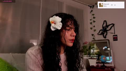 stellart_ online show from 12-29-24, 03:11