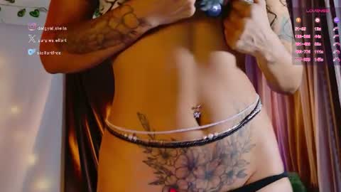 Snapshot of stellart_ chatting on 07-17-26, 01:34 stellart_ online show from 07-17-26, 01:34