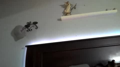 Snapshot of stellateamo69 chatting on 05-13-26, 04:10 Stellateamo69 online show from 05-13-26, 04:10