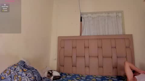 Snapshot of stepcouple__ chatting on 09-11-25, 02:06 Stepcouple online show from 09-11-25, 02:06