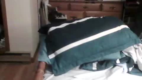 Ian23602 online show from 12-26-24, 12:03