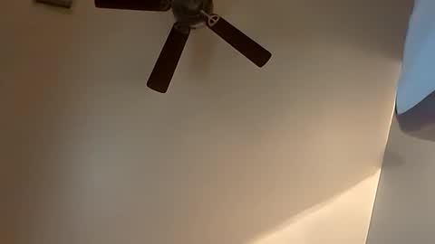 sterng123 online show from 10-20-25, 03:51