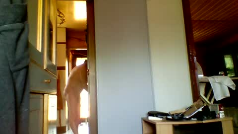 stevefromfrance online show from 07-20-26, 08:50