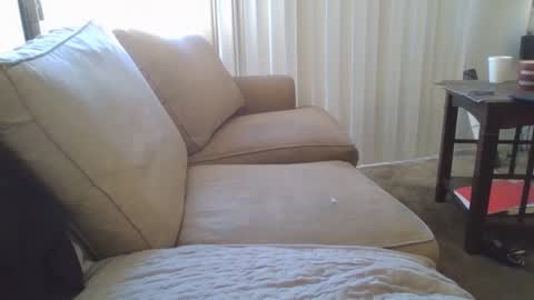 Snapshot of steven903625 chatting on 12-17-24, 07:04 steven903625 online show from 12-17-24, 07:04