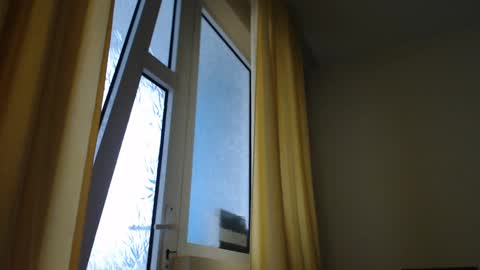 Snapshot of stevenbradley2017 chatting on 12-30-24, 01:47 Steven online show from 12-30-24, 01:47