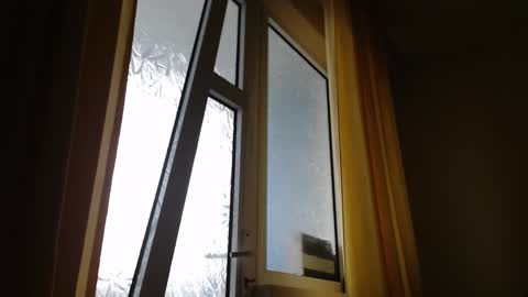 Snapshot of stevenbradley2017 chatting on 01-26-25, 11:28 Steven online show from 01-26-25, 11:28