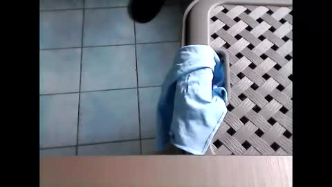 stevenx1974 online show from 03-08-26, 09:02