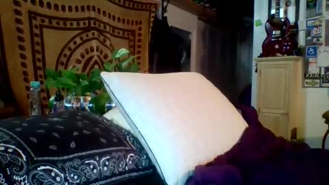 steviehard7 online show from 02-12-25, 05:15