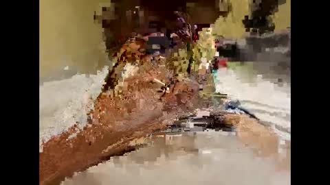 Snapshot of stittymike chatting on 12-16-24, 05:27 stittymike online show from 12-16-24, 05:27