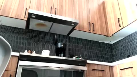 stlhotwifeguy online show from 02-14-25, 03:36