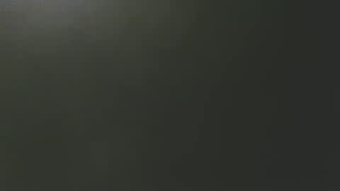 stonedpanda77 online show from 01-13-25, 05:33