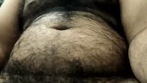 stork2023 online show from 07-23-26, 11:19