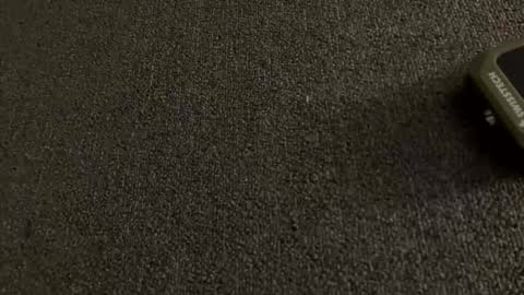 stout0818 online show from 04-01-26, 10:27