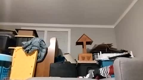 Streetwyze online show from 10-23-25, 08:46