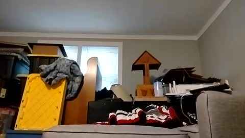 Streetwyze online show from 10-25-25, 12:34