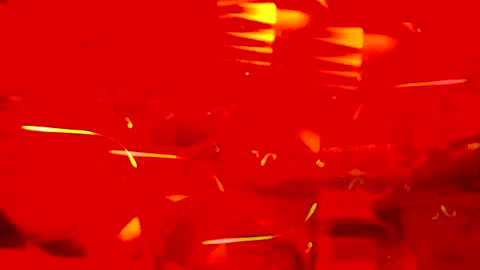 Str8 online show from 07-15-26, 10:42