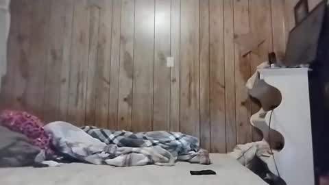 straighttoy online show from 03-03-25, 05:09