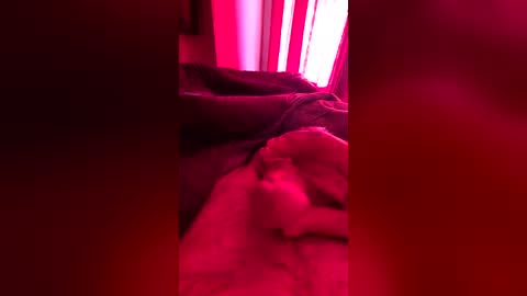Snapshot of strarktyy44 chatting on 06-20-26, 10:18 strarktyy44 online show from 06-20-26, 10:18