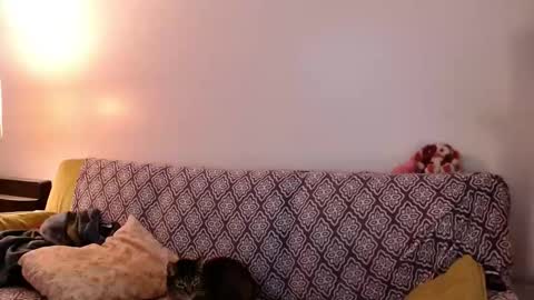 Snapshot of strawberrylotsacake chatting on 11-24-25, 04:07 Strawberrylotsacake online show from 11-24-25, 04:07