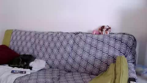 Strawberrylotsacake online show from 03-26-26, 01:49