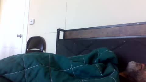 Snapshot of strictdaddy13 chatting on 02-21-25, 02:38 strictdaddy13 online show from 02-21-25, 02:38