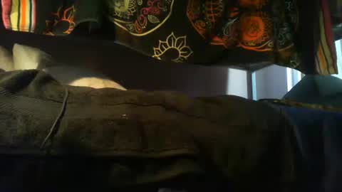 strokensmoke420 online show from 11-10-25, 09:47