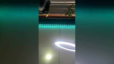 Snapshot of strong_rock69 chatting on 03-28-26, 10:42 strong_rock69 online show from 03-28-26, 10:42