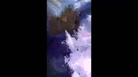 Snapshot of stuffamuffagus69 chatting on 05-17-26, 09:33 stuffamuffagus69 online show from 05-17-26, 09:33
