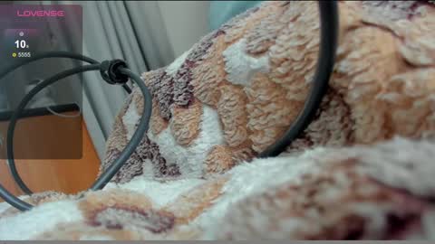 stupid little kitten online show from 01-10-25, 12:15