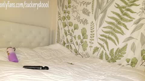 Snapshot of suckerydoool chatting on 02-01-26, 03:05 Maya online show from 02-01-26, 03:05