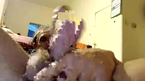 suckmeplease70 online show from 04-26-26, 04:21