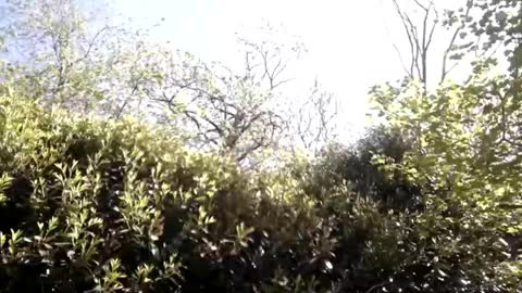 Snapshot of sucrette5629 chatting on 04-25-26, 01:14 sucrette5629 online show from 04-25-26, 01:14