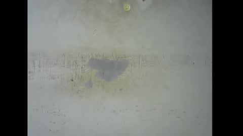 Bella online show from 11-09-25, 05:44