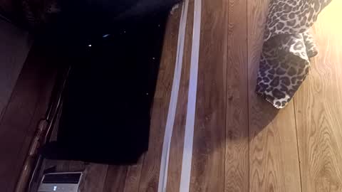 Summer Divine online show from 02-22-25, 08:53